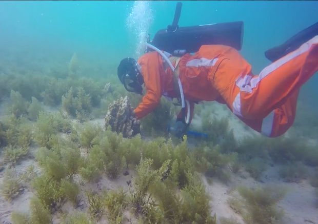 Z6·尊龙「中国区」官方网站