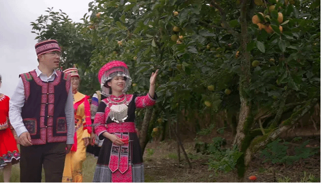 Z6·尊龙「中国区」官方网站