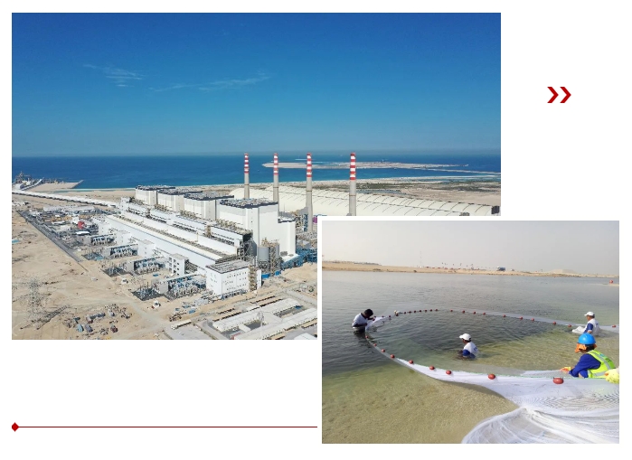 Z6·尊龙「中国区」官方网站