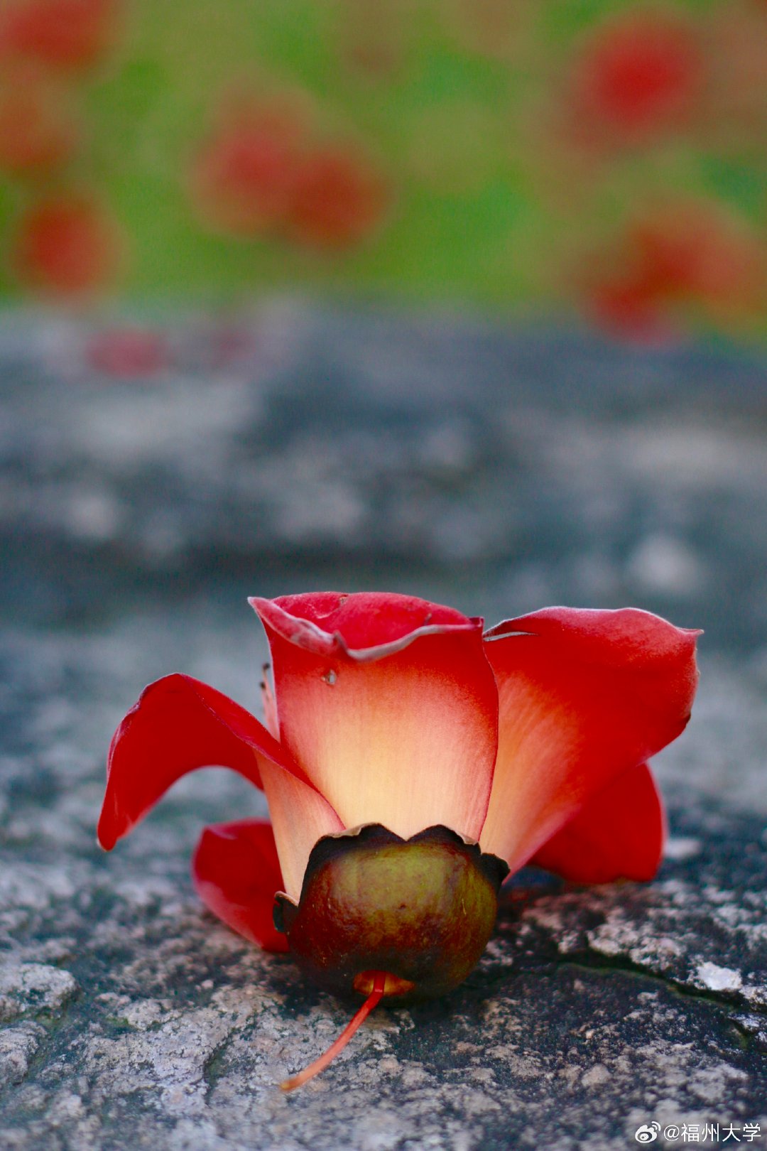 新利体育luck18·(中国)首页登录