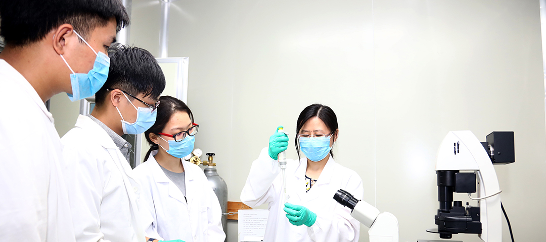 新利体育luck18·(中国)首页登录