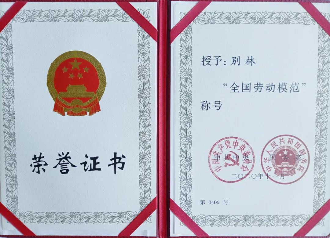 Z6·尊龙「中国区」官方网站