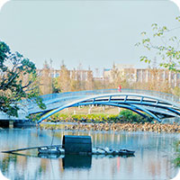 新利体育luck18·(中国)首页登录